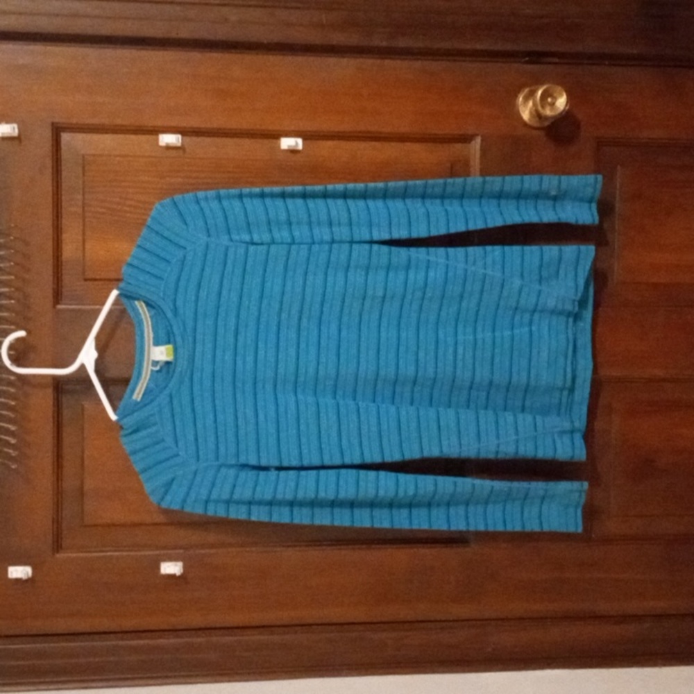 Smartwool top